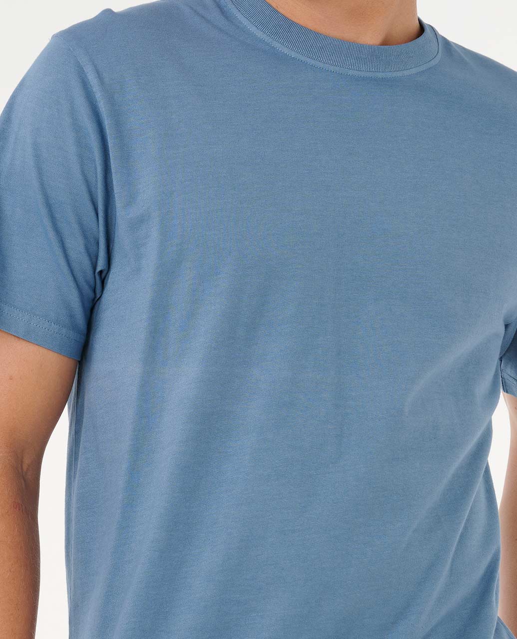 Rip Curl Men Plain Wash Relaxed Tee