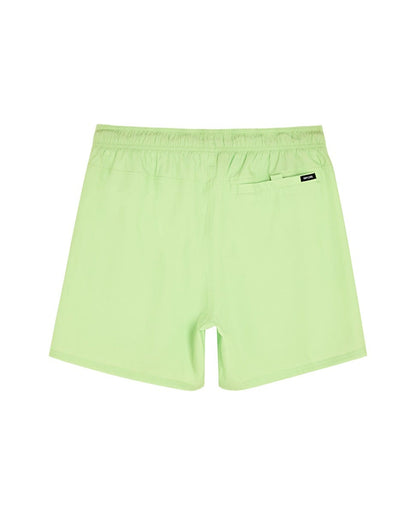 Rip Curl Men Daily 16" Volley