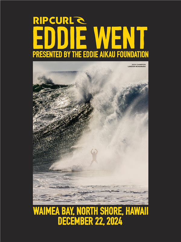 Rip Curl Men Eddie Went Reversible Poster